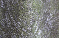 Top End fibreglass roof work